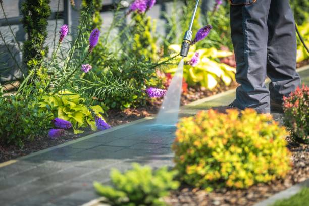 Best Factory Floor Cleaning  in Murrysville, PA