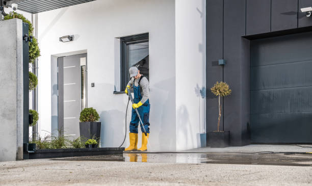 Best Soft Washing  in Murrysville, PA